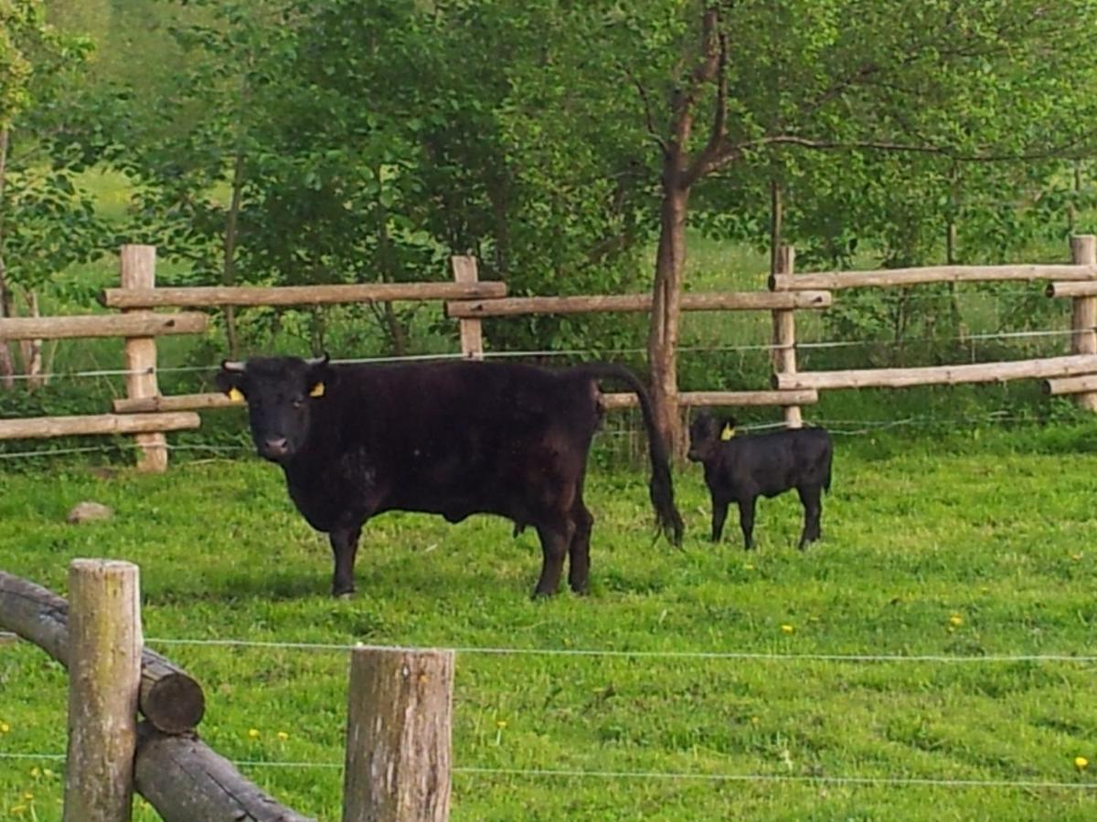 Doppelzimmer Im Spreewald Burg  Εξωτερικό φωτογραφία